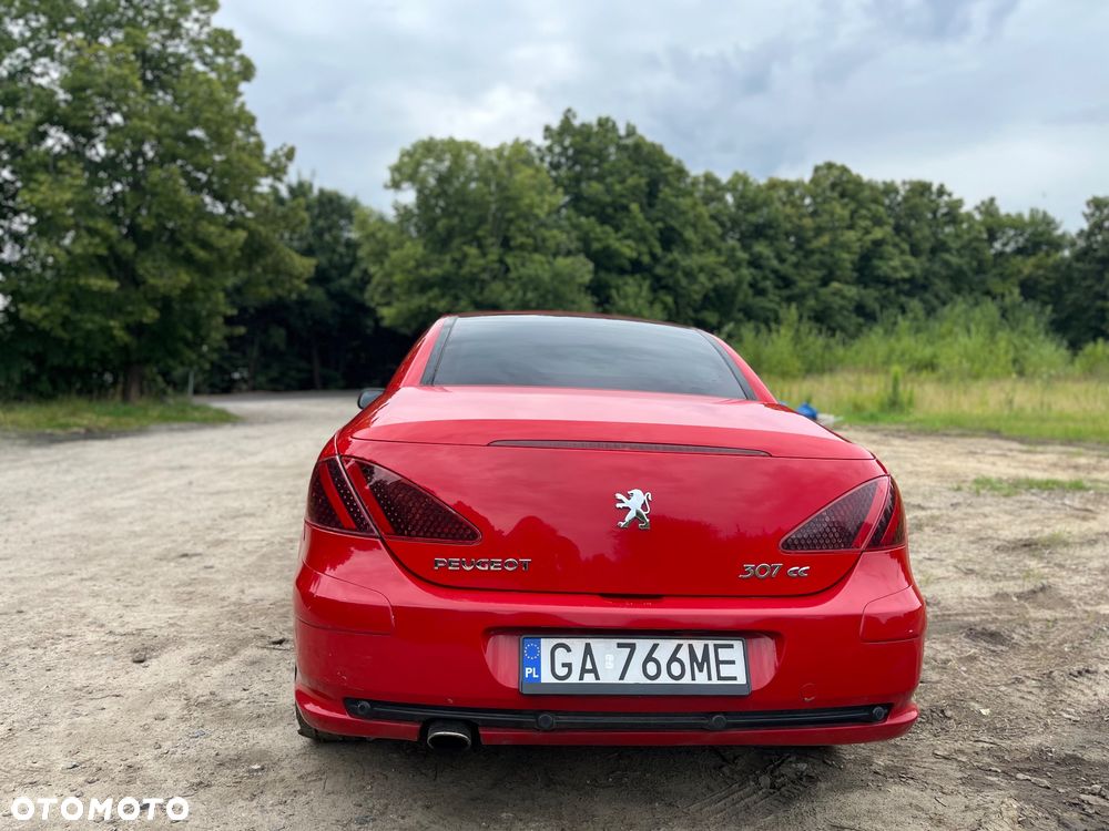 Peugeot 307 - 15