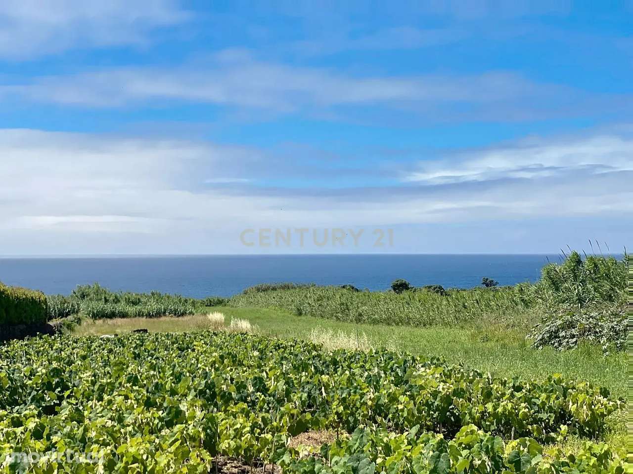 Terreno Urbano com Vista Mar. - Grande imagem: 3/10