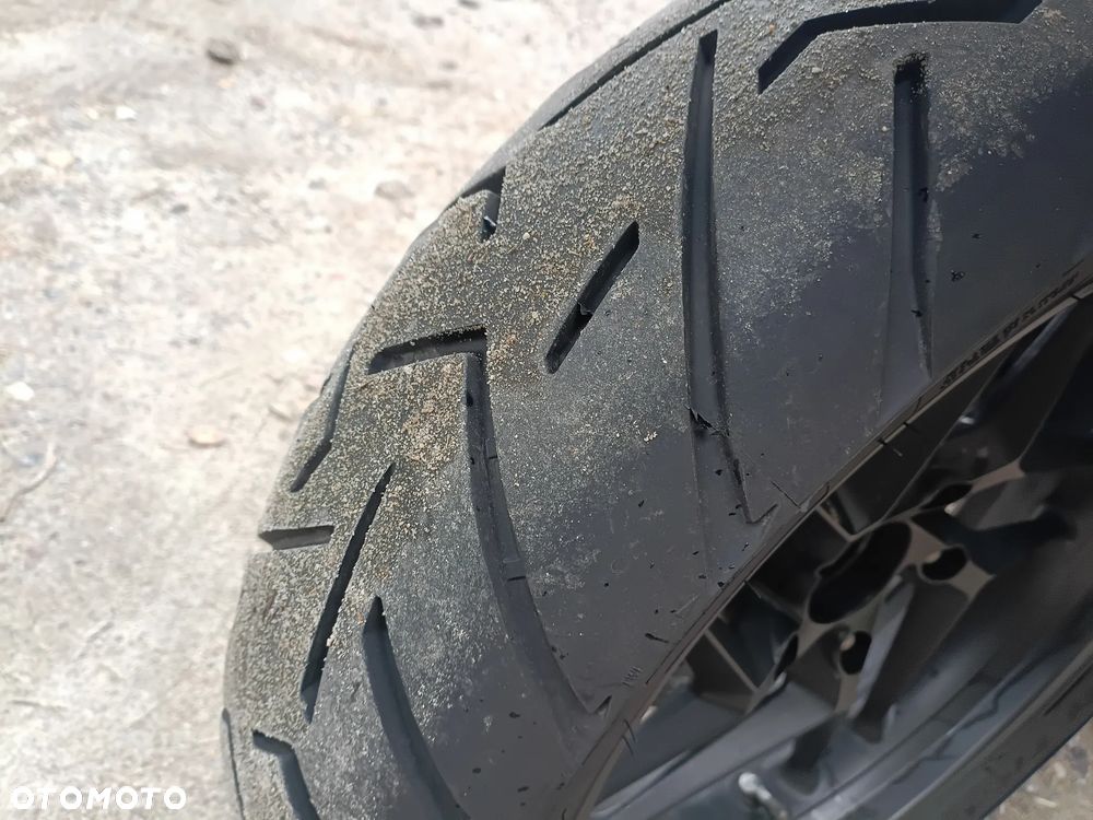Triumph Tiger - 7