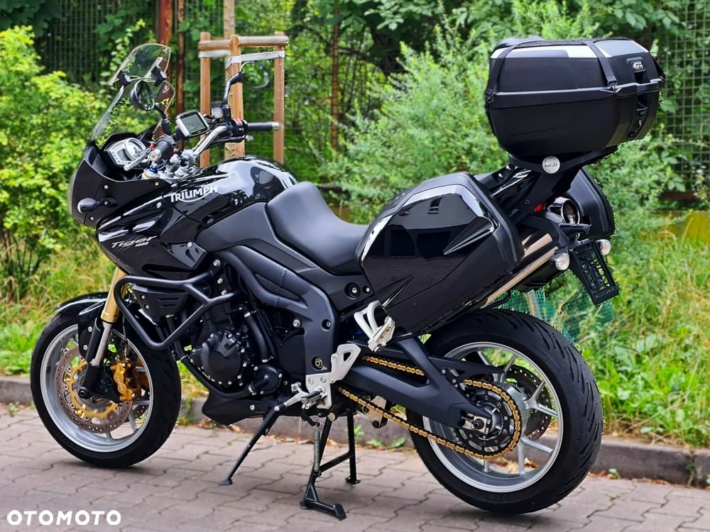 Triumph Tiger - 14