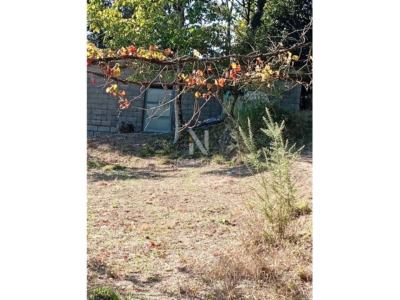 Terreno  Venda em Vade,Vila Verde - Grande imagem: 2/10