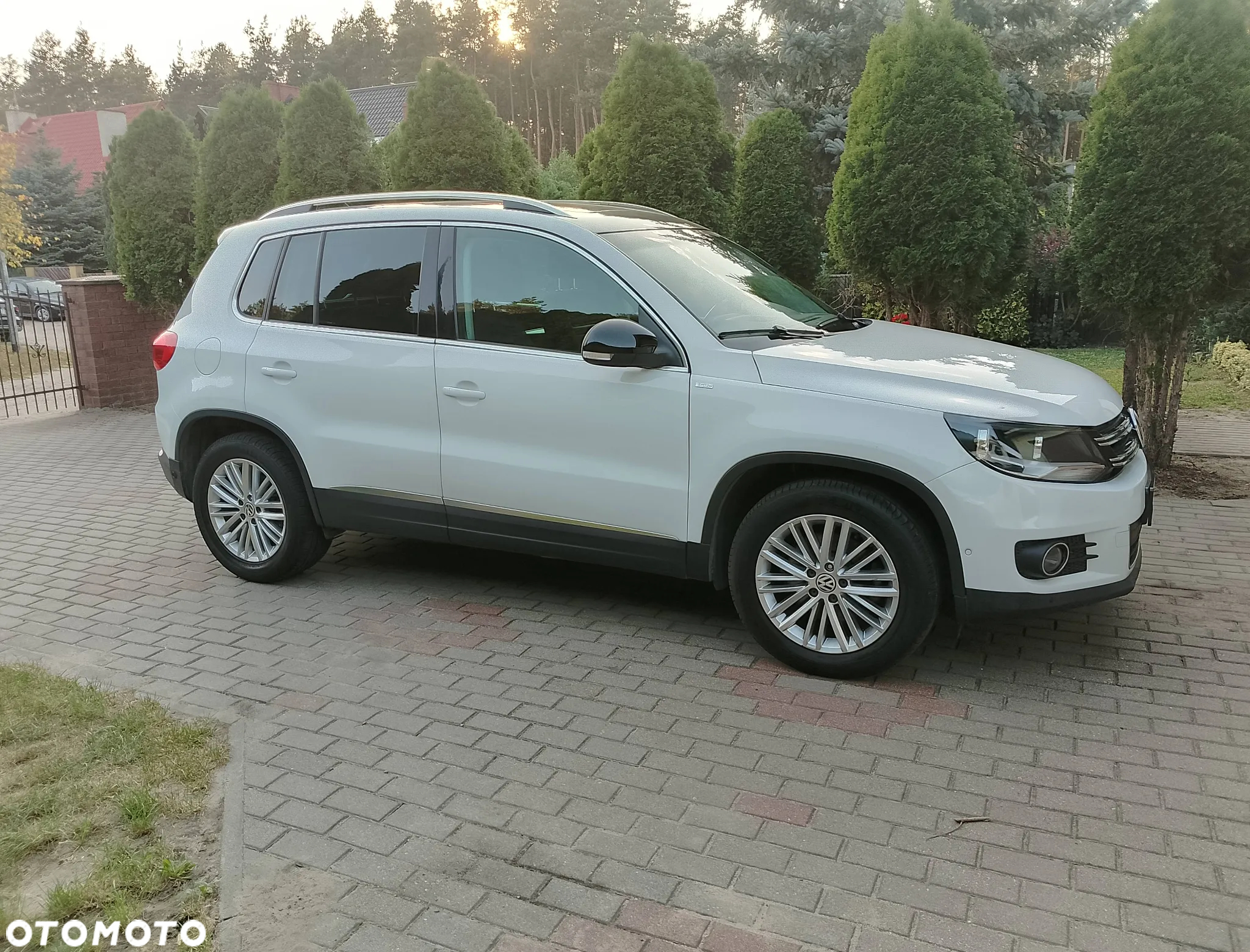 Volkswagen Tiguan 2.0 TDI DPF BlueMotion Technology Cup Sport & Style - 5