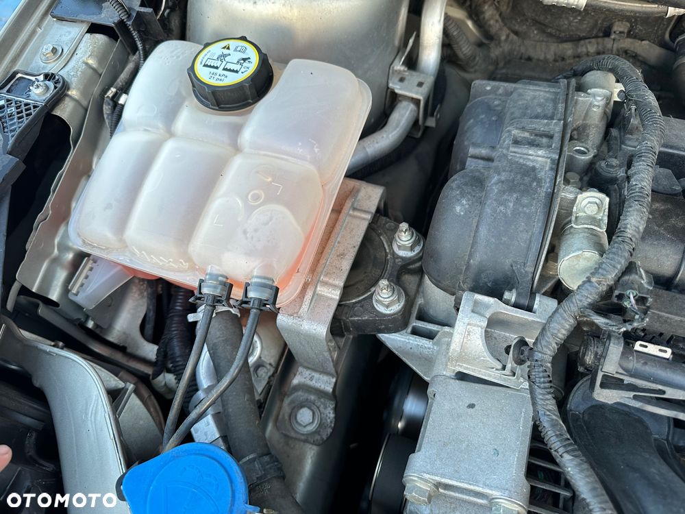 Ford Focus 1.6 Gold X (Trend) - 22