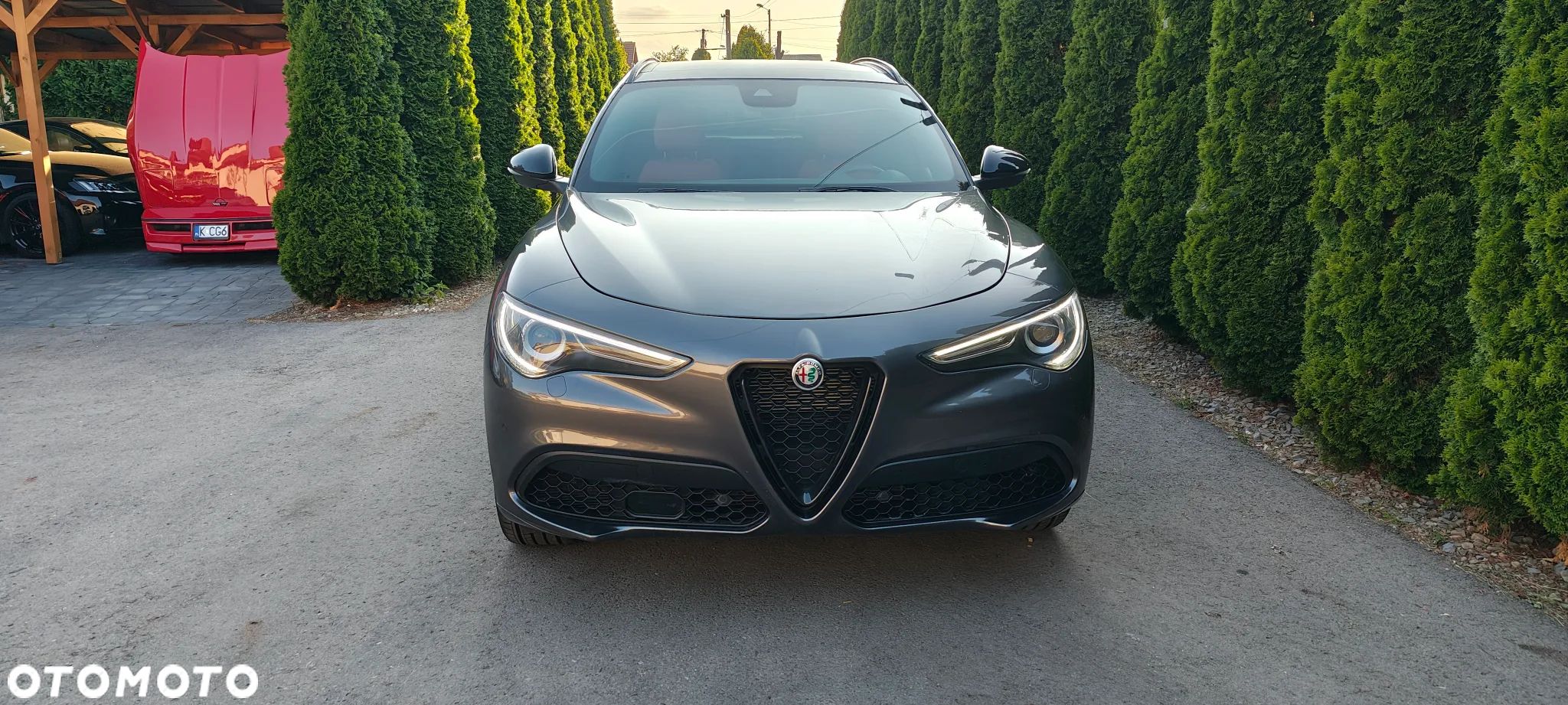 Alfa Romeo Stelvio 2.0 Turbo Veloce TI Q4 - 1