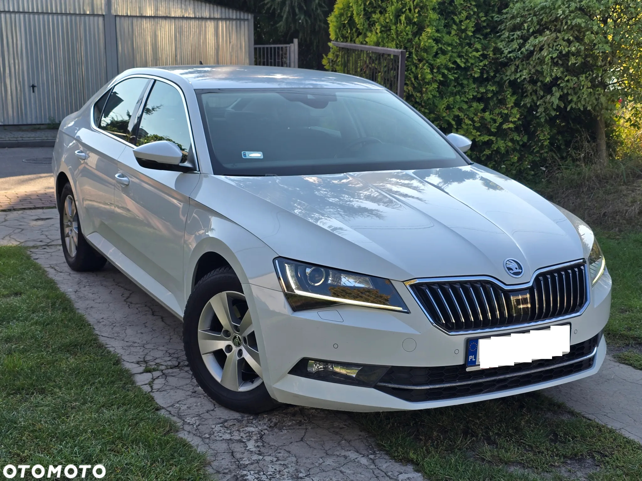 Skoda Superb 2.0 TDI Sportline DSG - 14