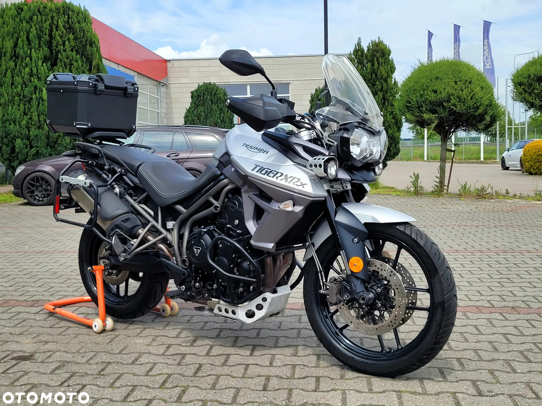 Triumph Tiger - 19