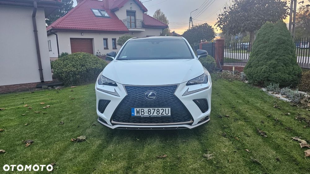 Lexus NX 300h F Sport Edition AWD - 13