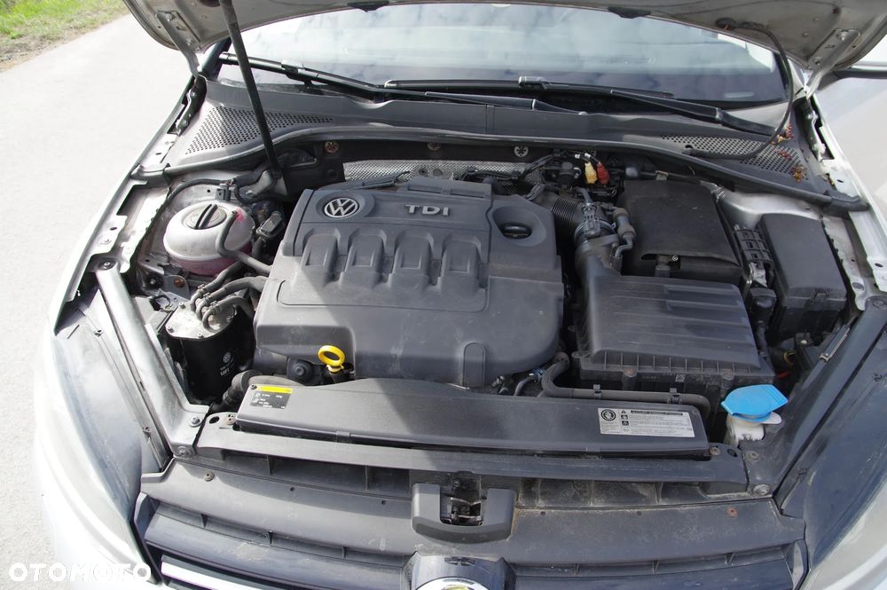 Volkswagen Golf - 26