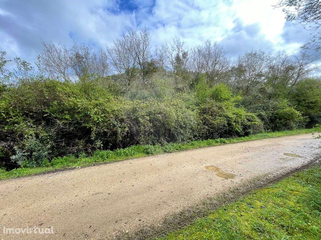 Terreno  para venda - Grande imagem: 2/3