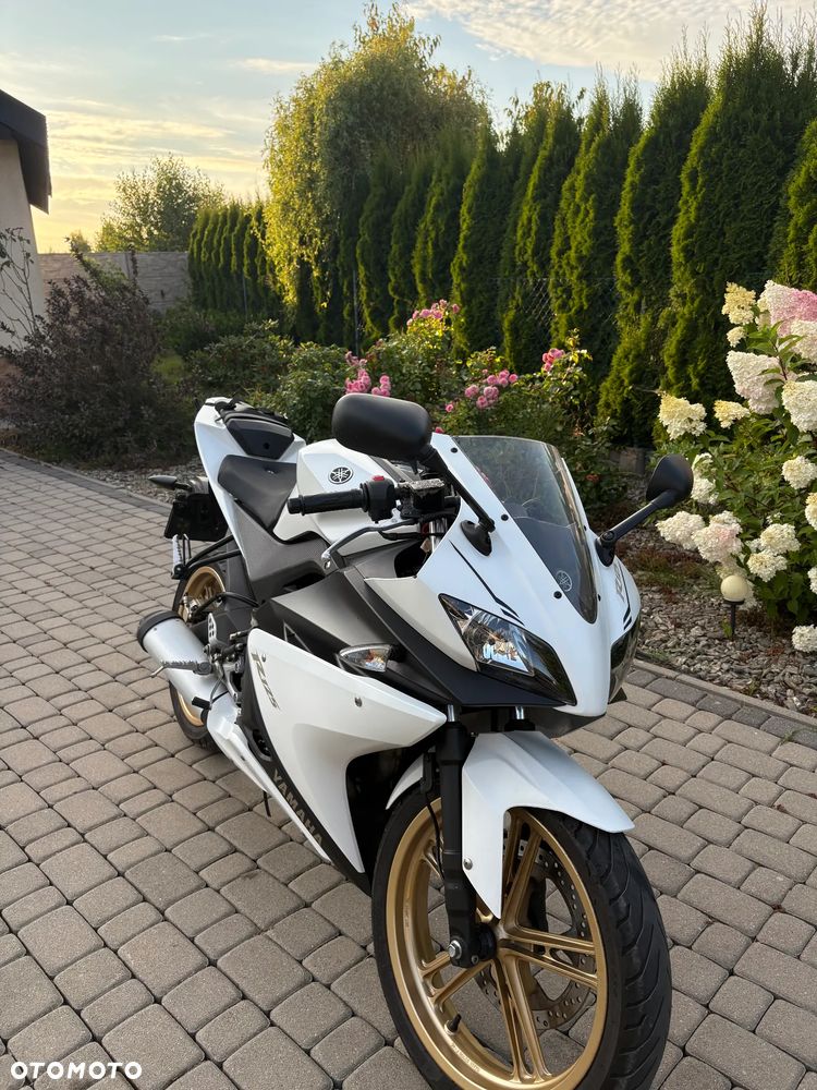 Yamaha YZF - 1