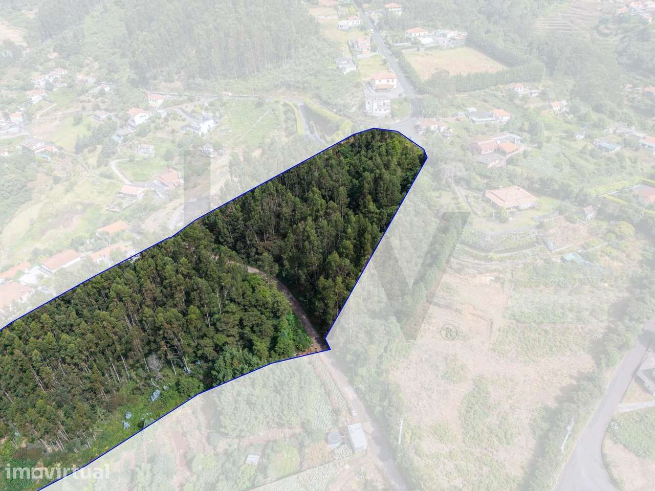 Terreno 12.680 m2 – Santo António da Serra - Grande imagem: 5/33