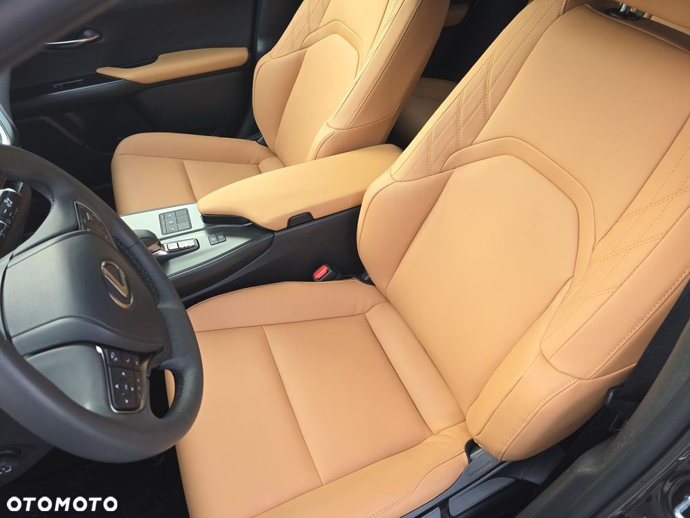 Lexus UX 300h F Sport Design - 19