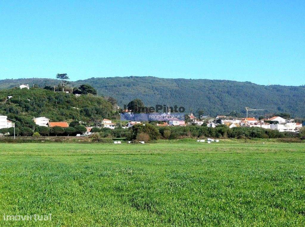 Terreno urbano, LOTE, p/ construção MORADIA R/Chão e andar. Afife, ... - Grande imagem: 2/6