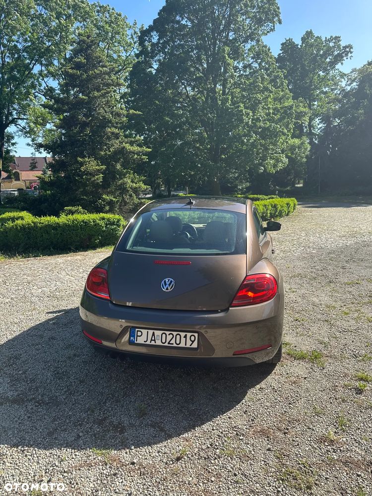 Volkswagen Beetle - 7