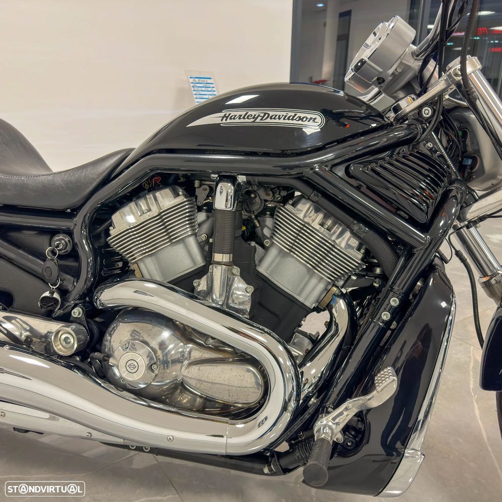 Harley-Davidson VRSCB - 15