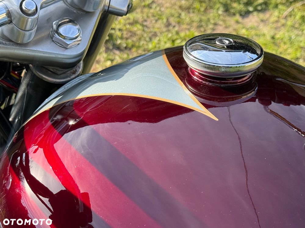 Triumph Thunderbird - 11