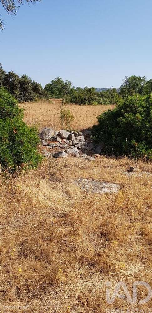 Terreno em Boliqueime de 13750,00 m2 - Grande imagem: 5/6