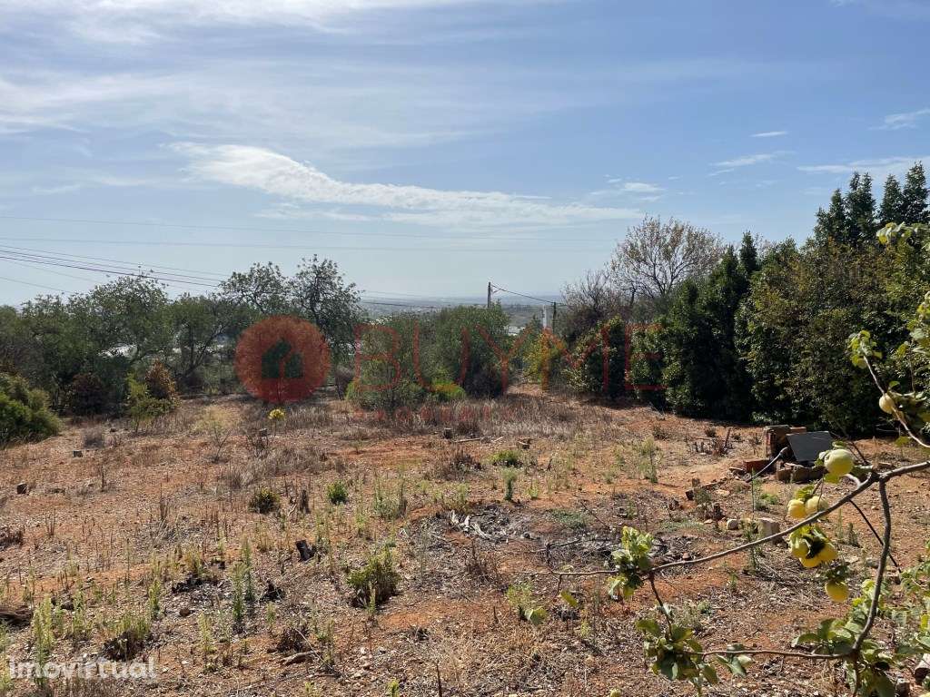 Lote com Projeto Aprovado para 2 Moradias Contemporâneas com Piscin... - Grande imagem: 4/19