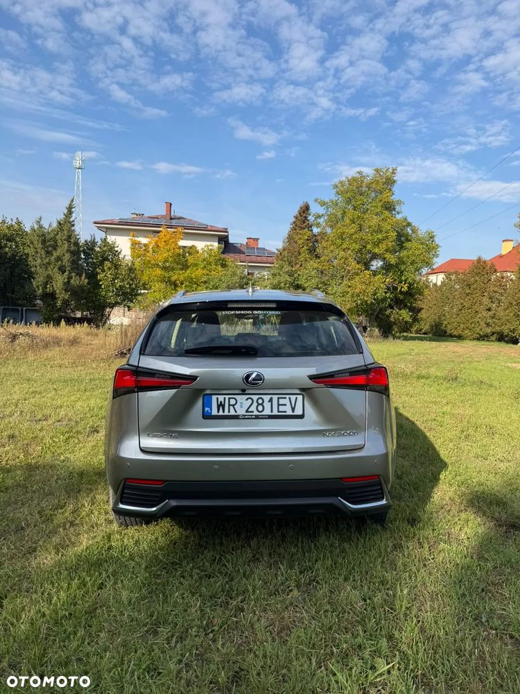 Lexus NX - 6