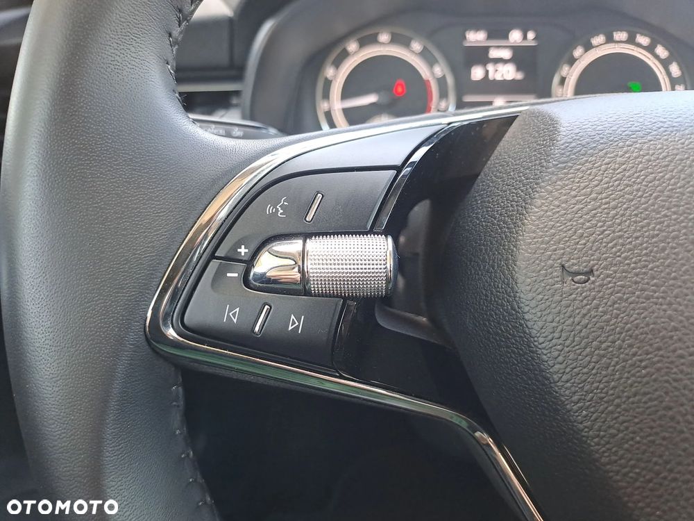 Skoda Kamiq 1.0 TSI Ambition DSG - 18
