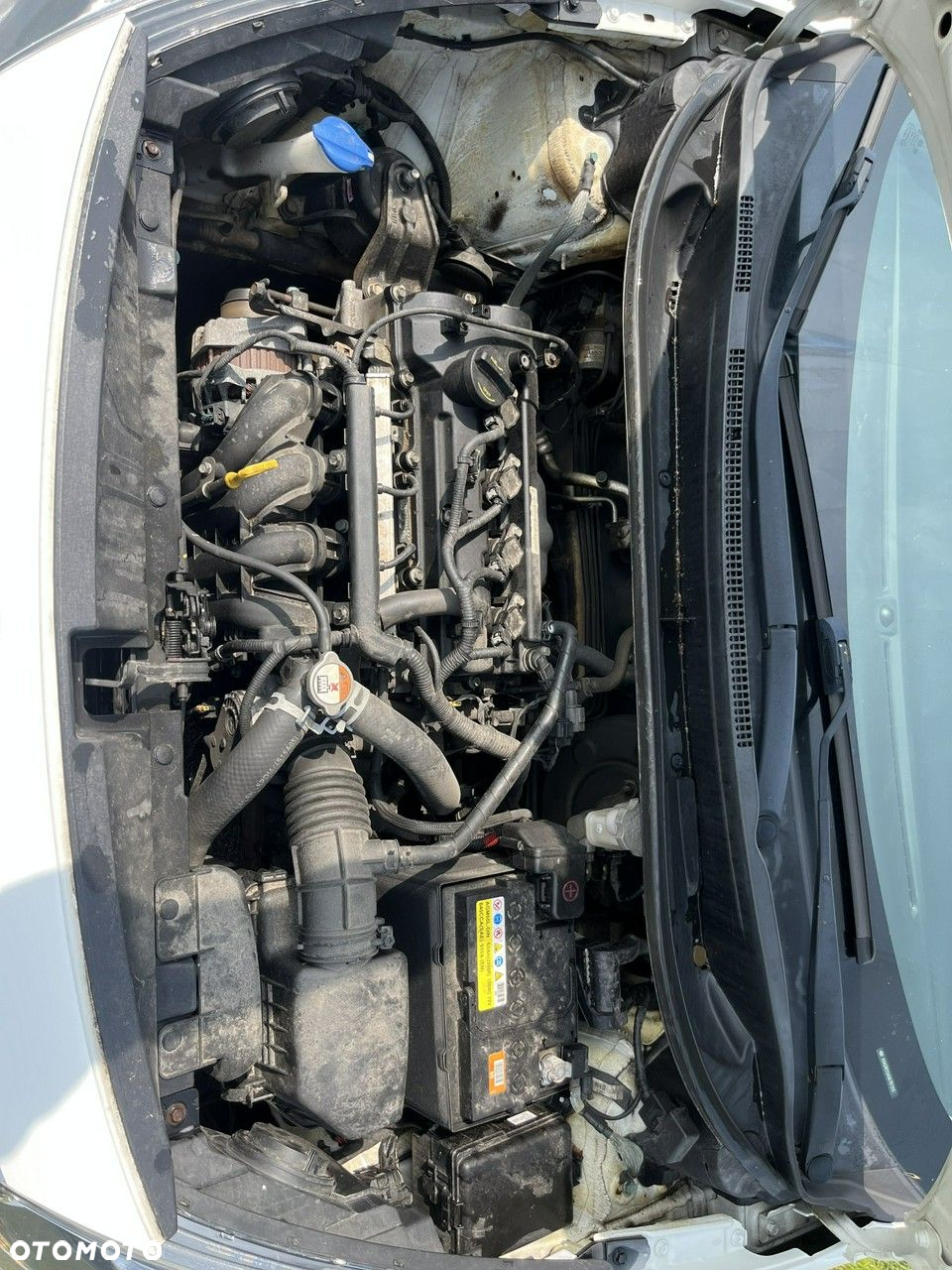 Kia Rio - 22