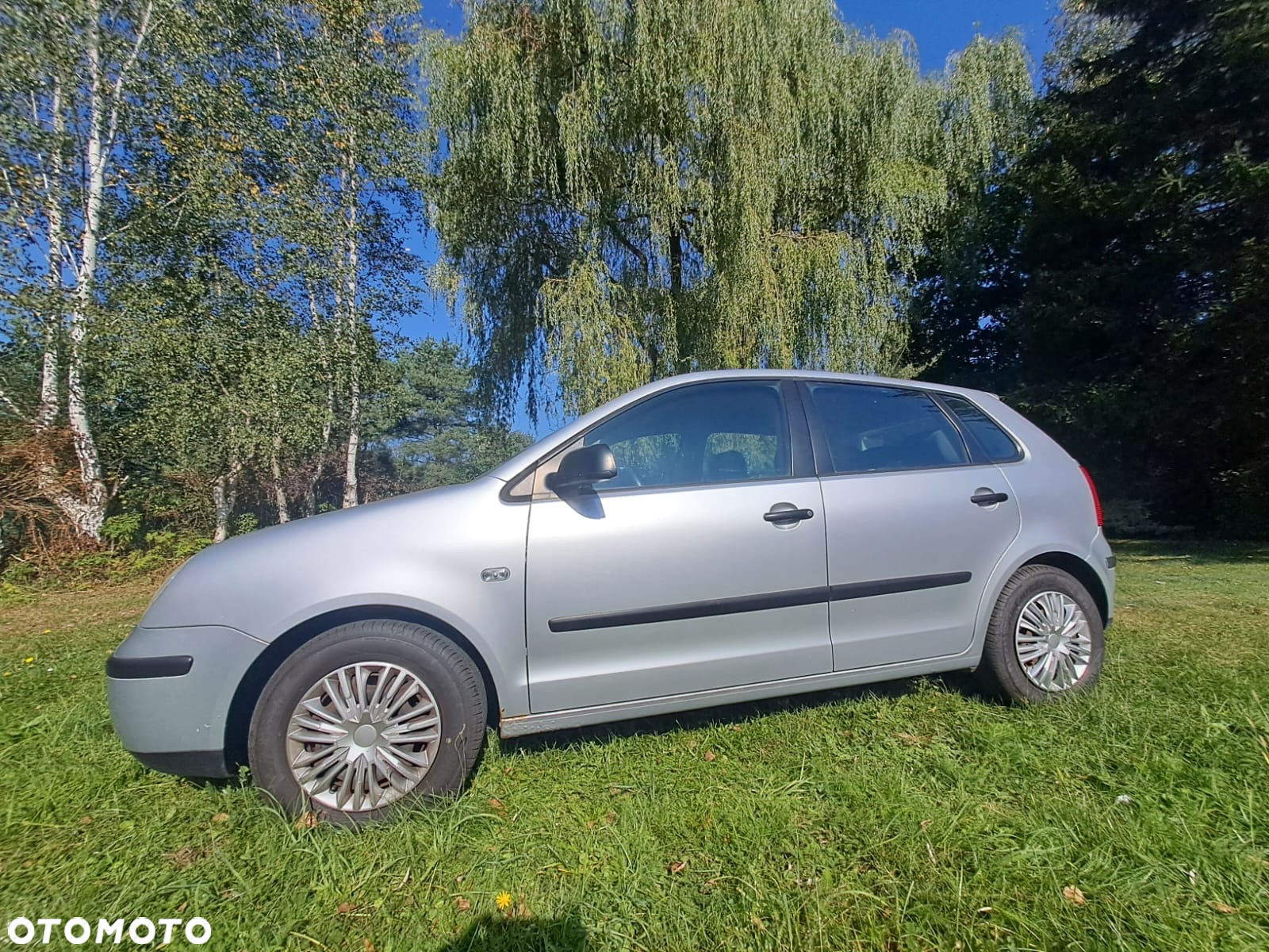 Volkswagen Polo - 5