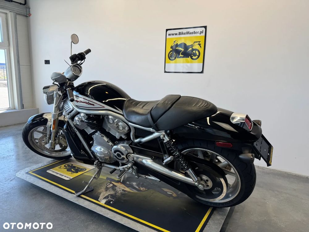 Harley-Davidson V-Rod Street Rod - 6