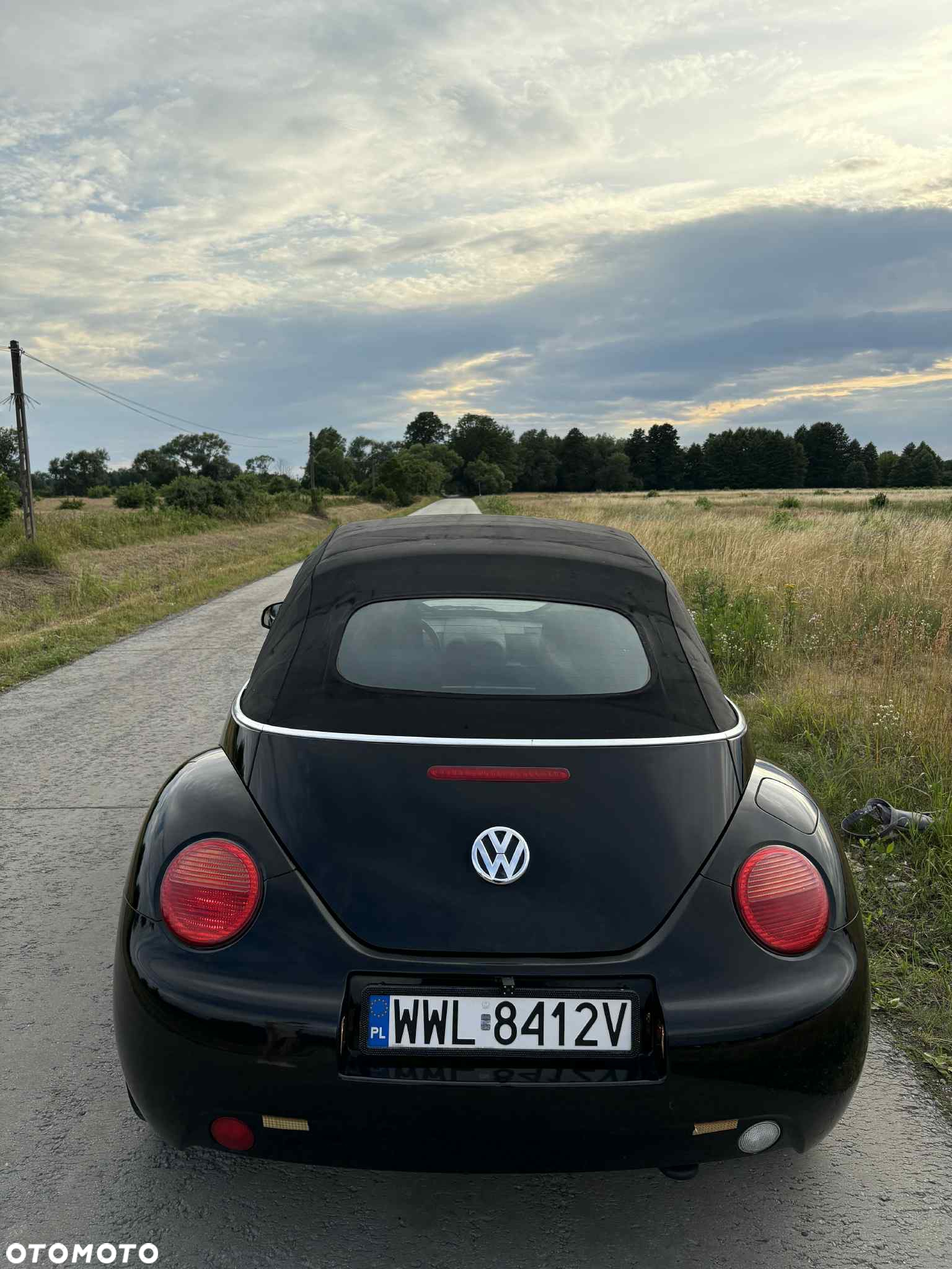Volkswagen New Beetle Cabriolet 1.6 - 3