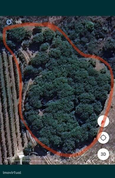 Terreno rústico. - Grande imagem: 3/3