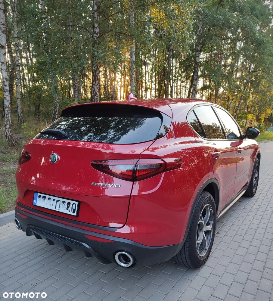Alfa Romeo Stelvio 2.0 Turbo Q4 - 5