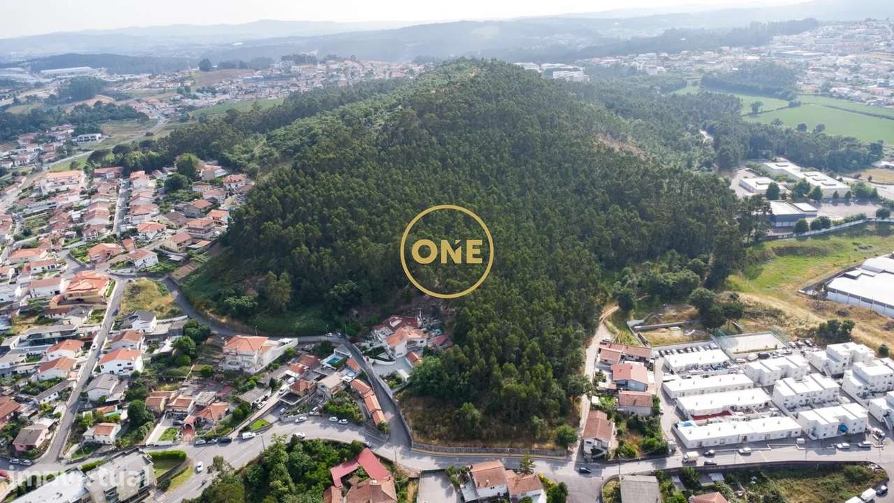 Terreno Rústico com 12.000 m² em Calendário – Vila Nova de Famalicão - Grande imagem: 4/8