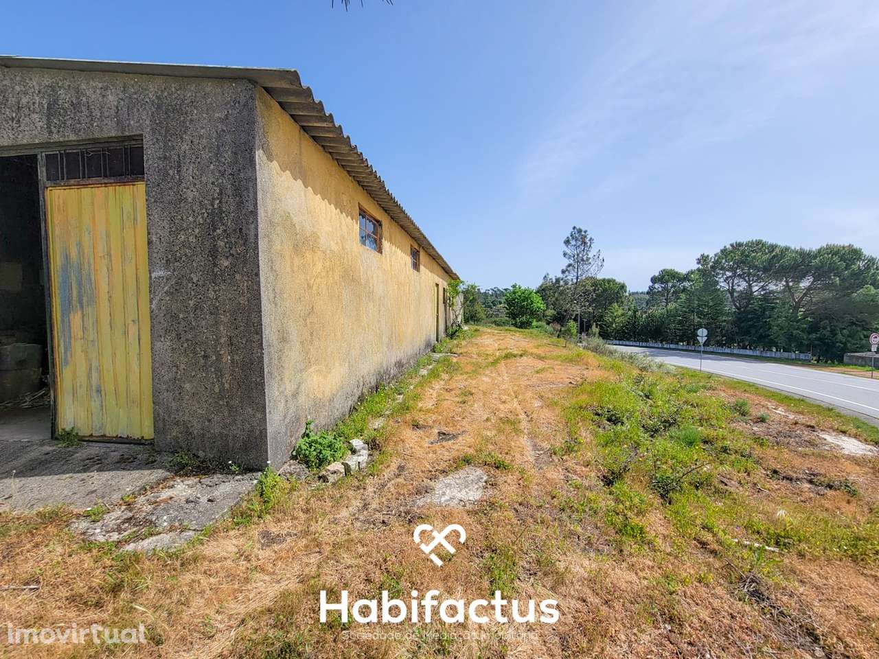 Terreno Rústico com 4.672 m2, com Olival e Pavilhão, á Venda em Abrunh - Grande imagem: 5/16