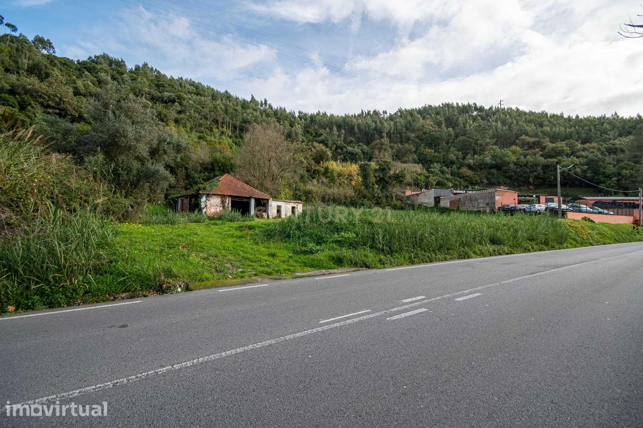 Ruína com terreno de 9800m2 em Alcobaça – Oportunidade Única de invest - Grande imagem: 4/19