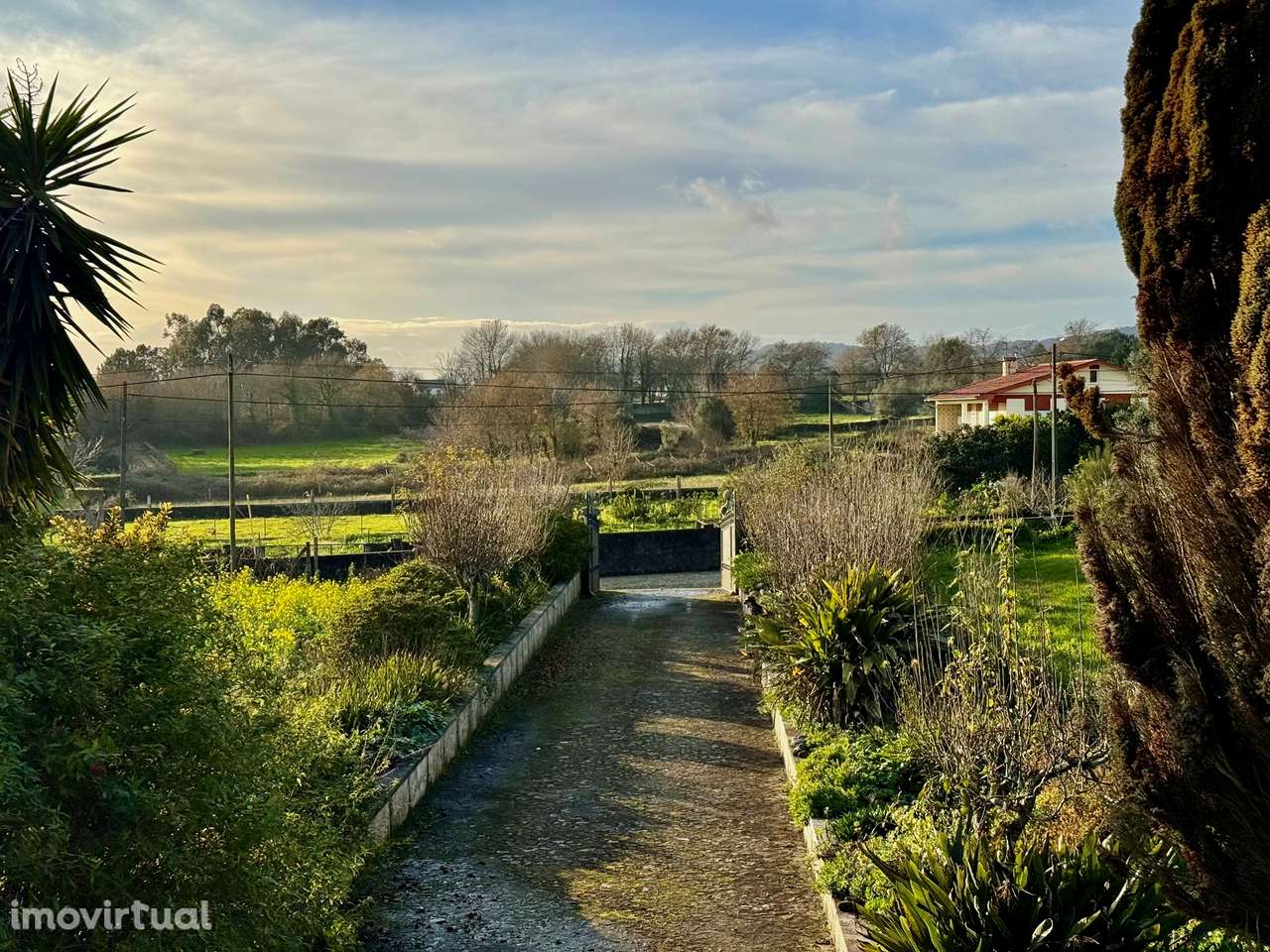 Quinta T5+1 Venda em Cardielos e Serreleis,Viana do Castelo - Grande imagem: 3/55