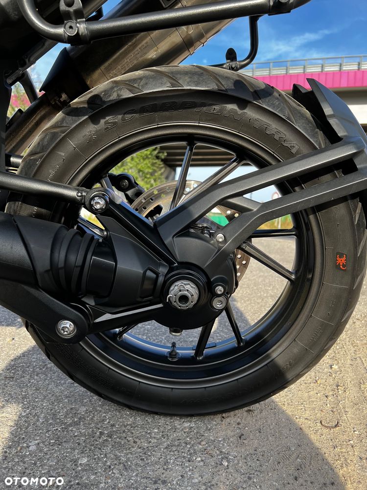 Triumph Tiger - 31