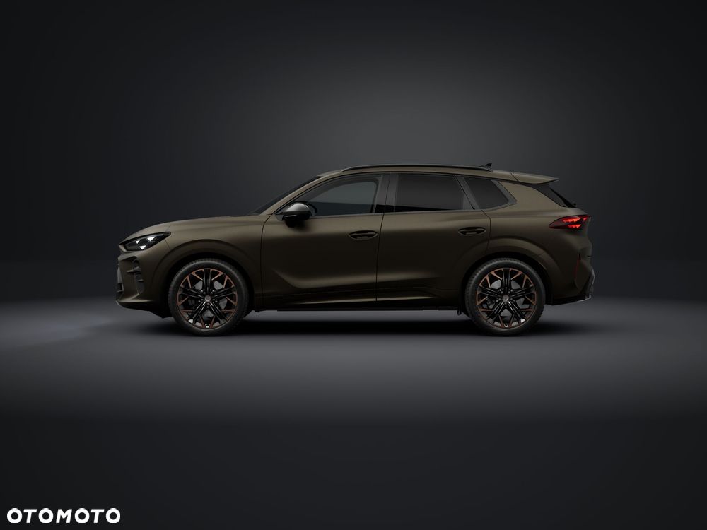 Cupra Terramar - 2