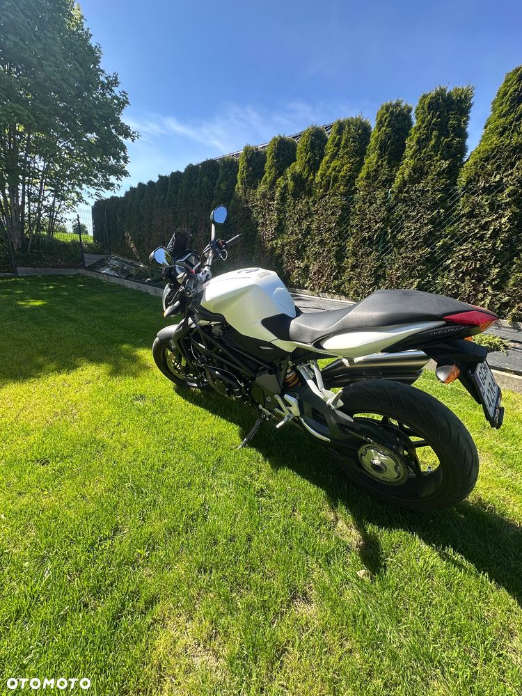 MV AGUSTA Brutale - 7
