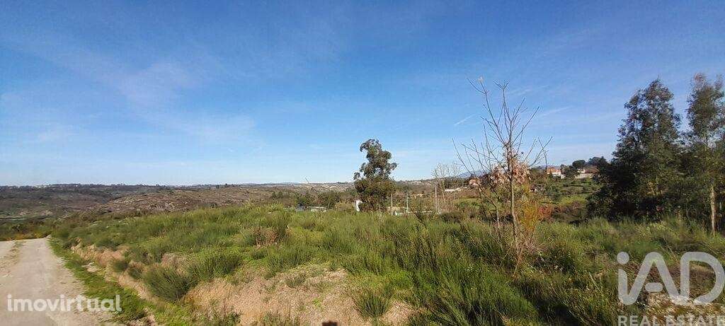 Terreno em Oliveira do Hospital e São Paio de Gramaços de 24500,00 m2 - Grande imagem: 4/8