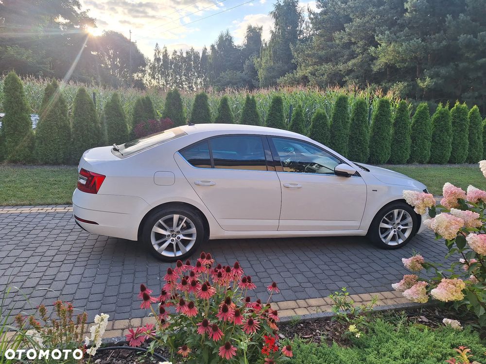 Skoda Octavia 1.6 TDI Clever - 8