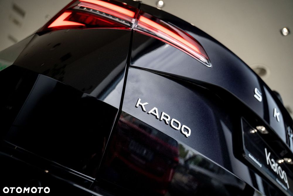 Skoda Karoq - 6