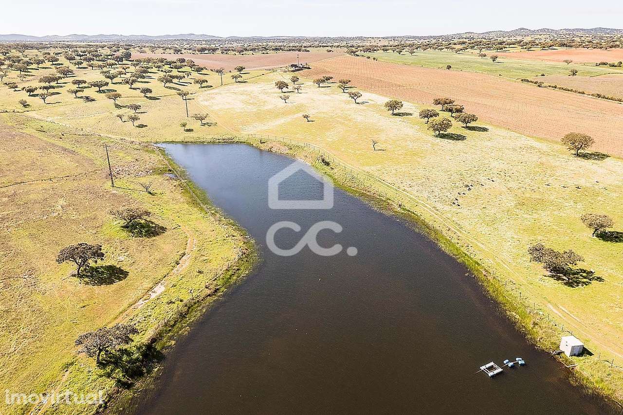 Herdade de 36 ha c/ Vinha, Montado, Recursos Hídricos e Potencial Turí - Grande imagem: 4/60