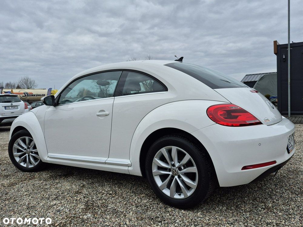 Volkswagen Beetle - 28