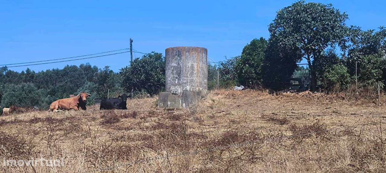 Moradia T2 para venda - Grande imagem: 5/45