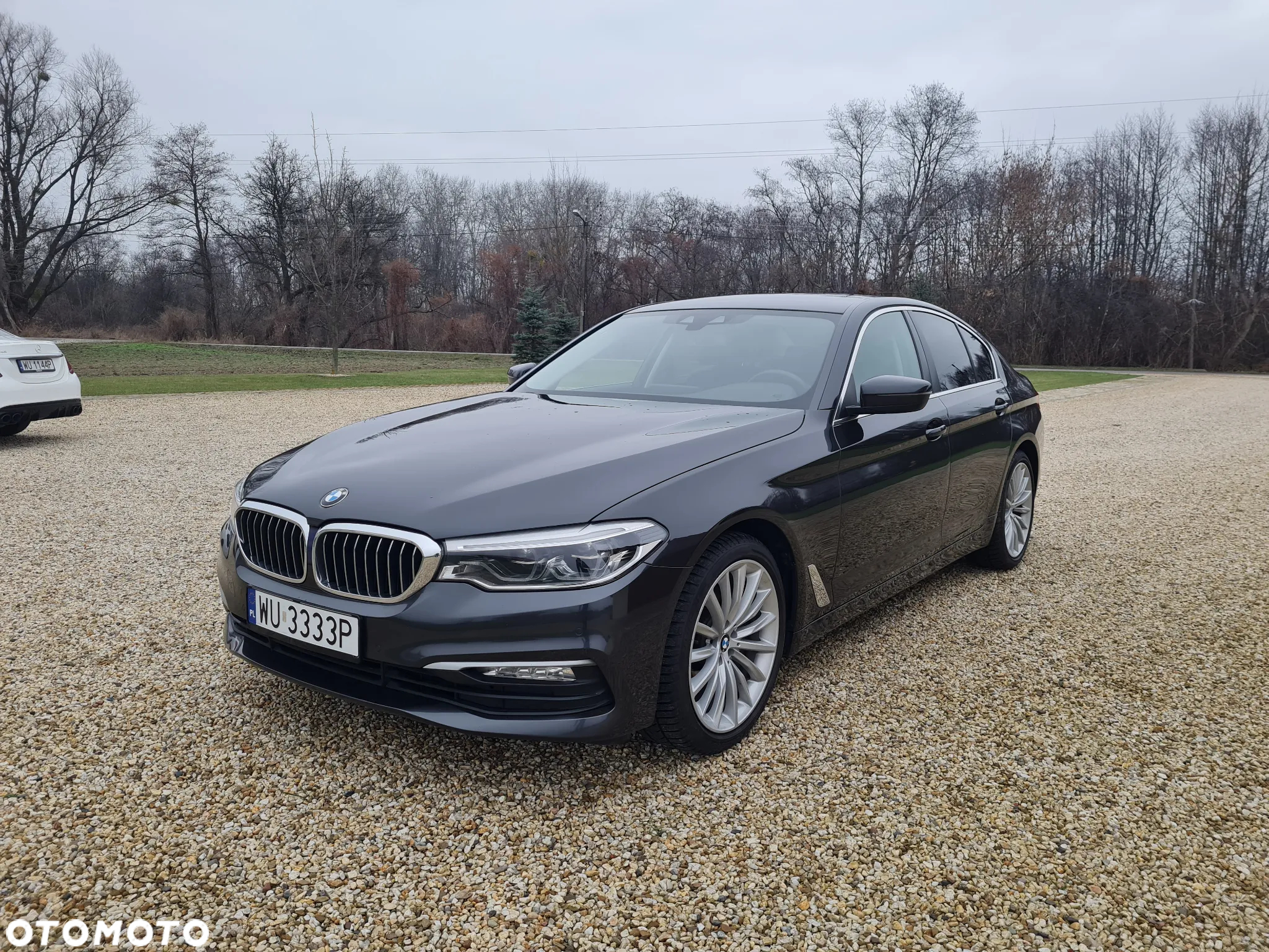 BMW Seria 5 520d Luxury Line - 2