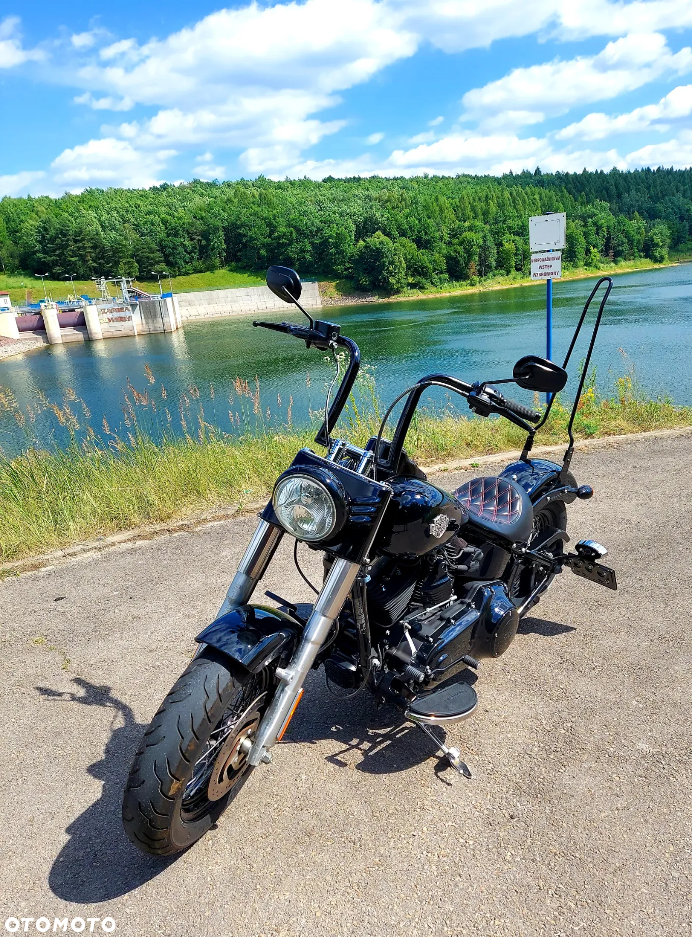 Harley-Davidson Softail Slim - 8
