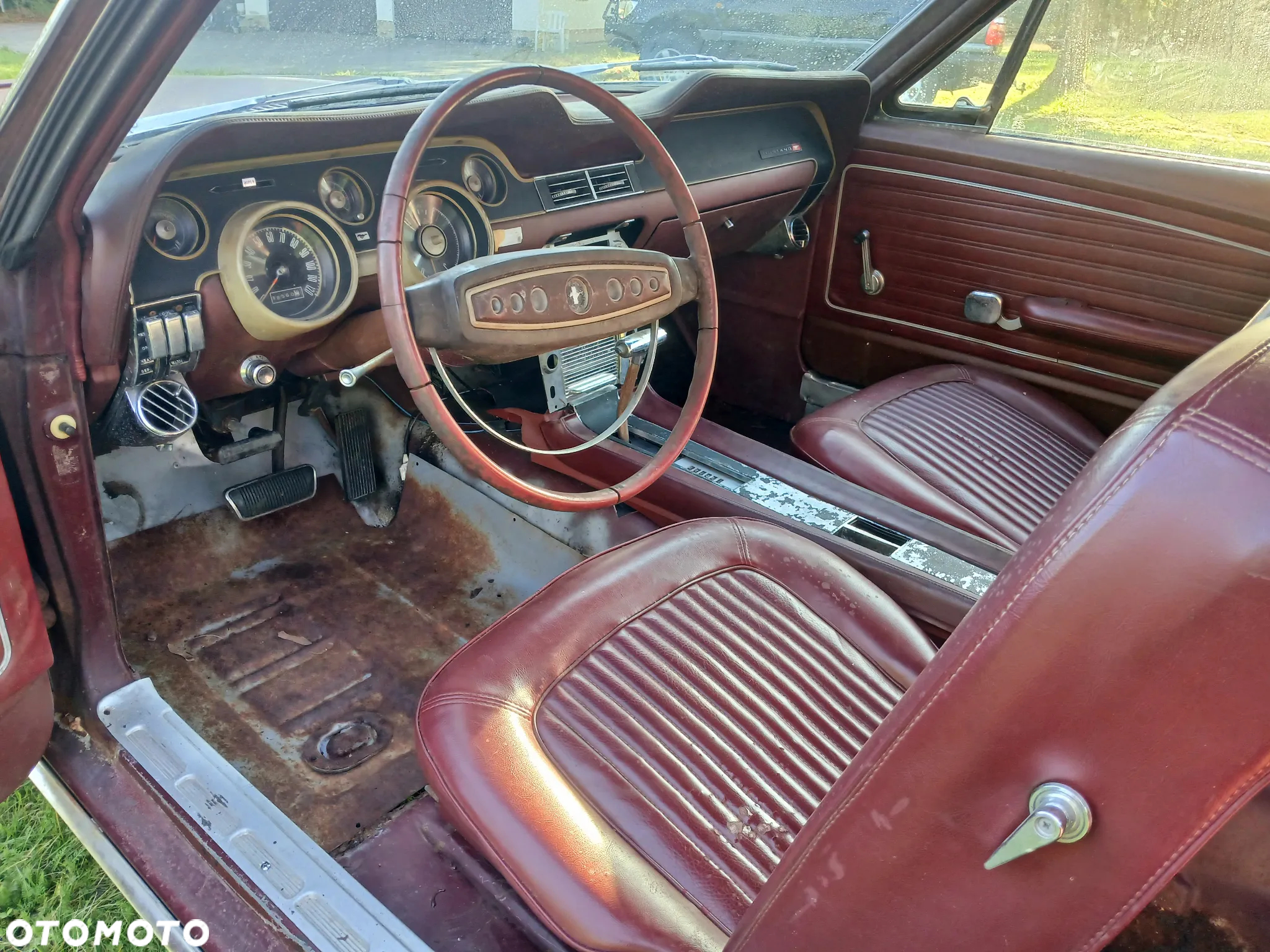 Ford Mustang - 5