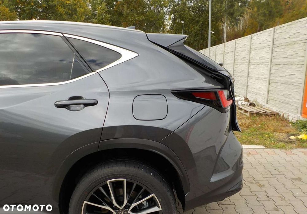 Lexus NX - 12