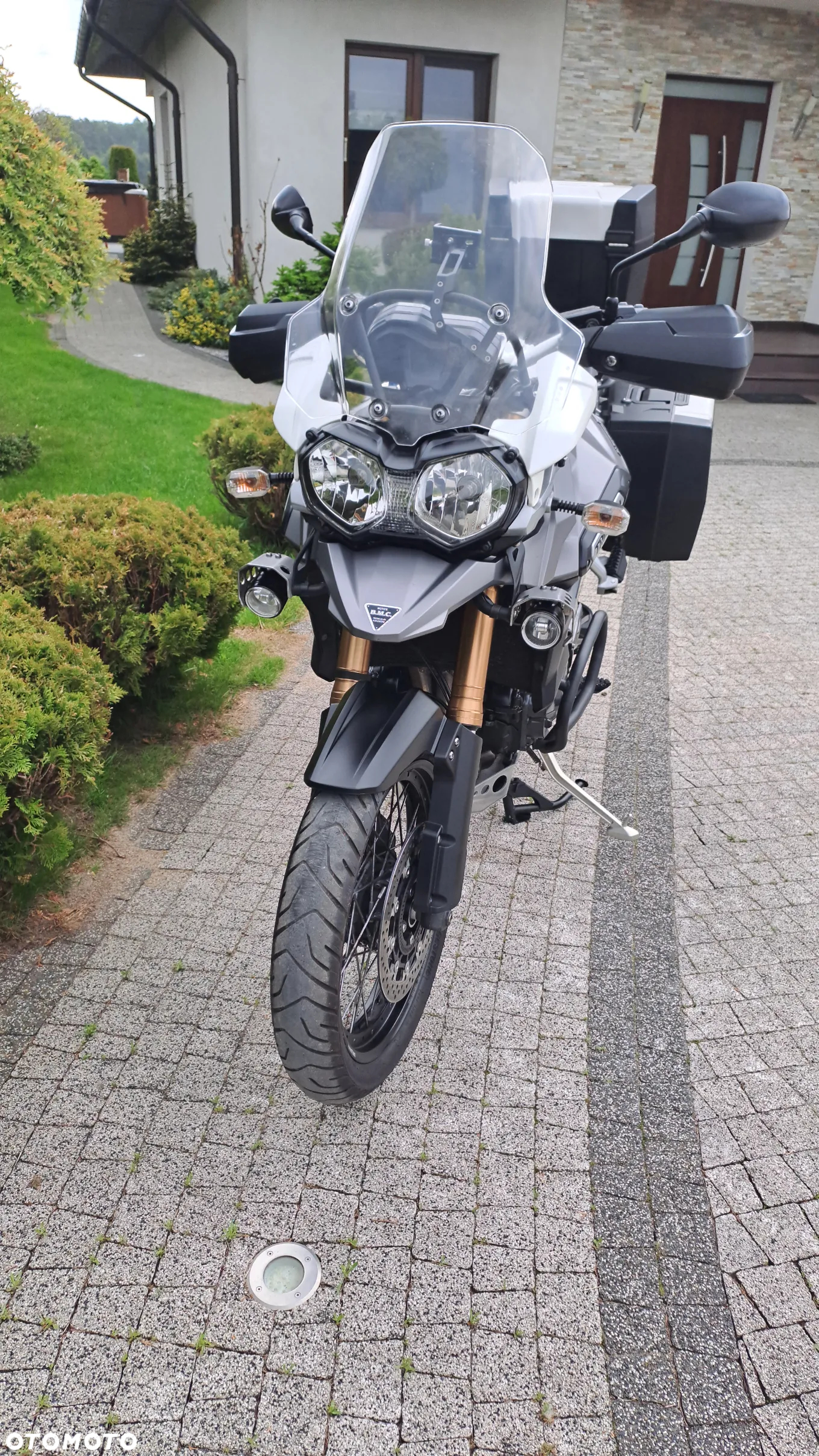 Triumph Tiger - 41