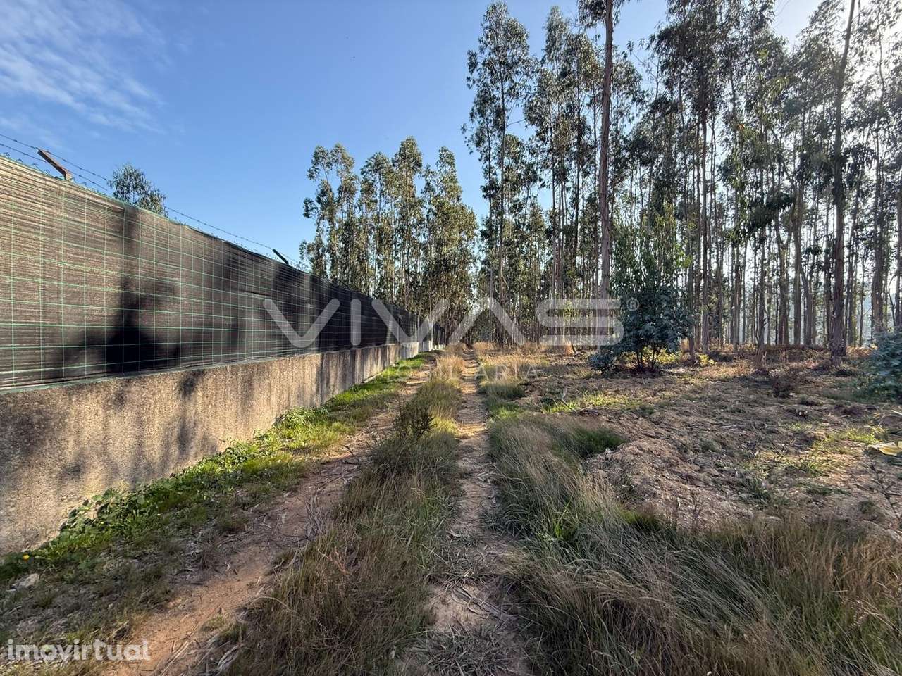 Terreno Rústico  Venda em Associação de freguesias do Vale do Neiva,Po - Grande imagem: 2/12