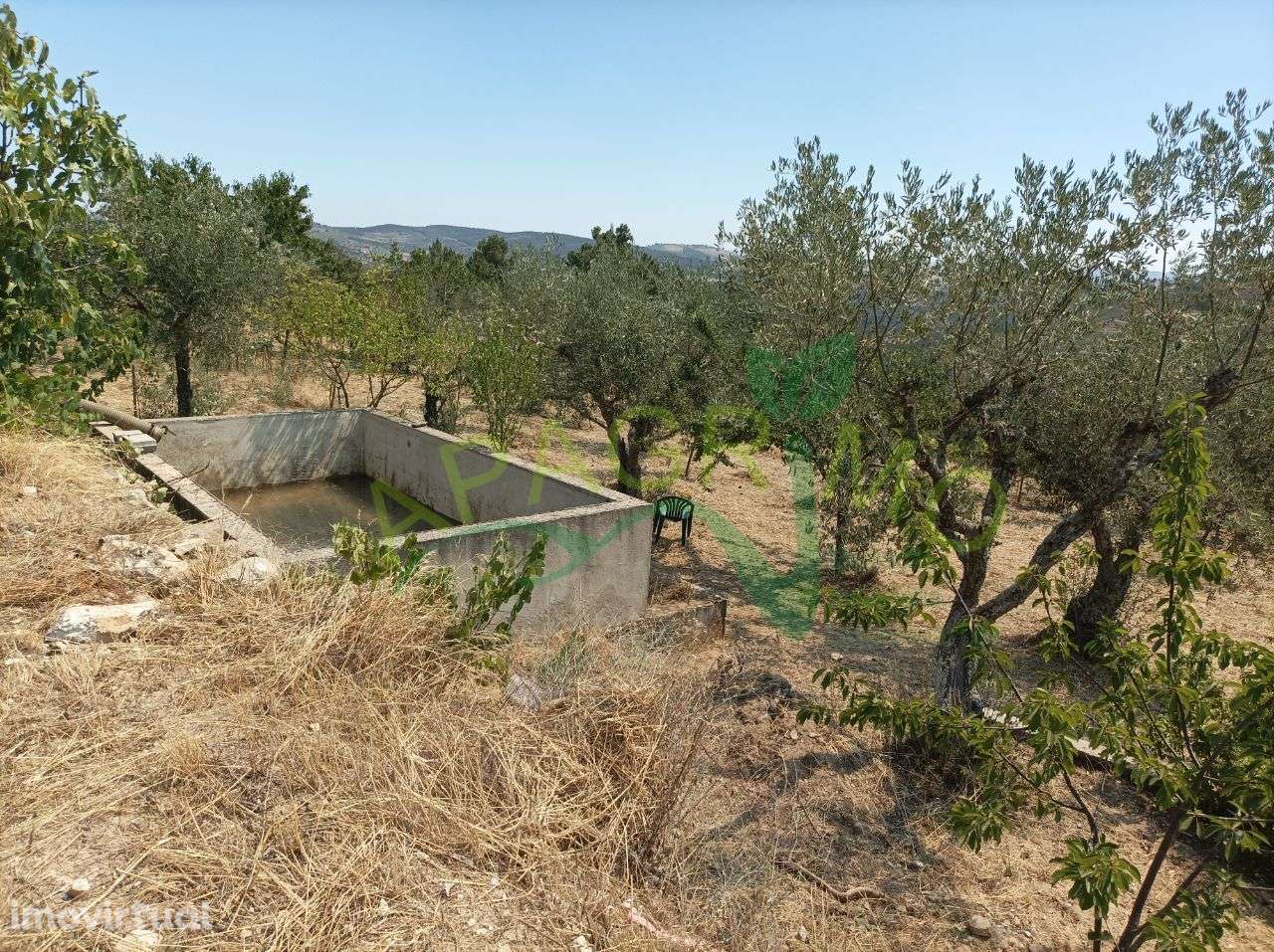 Terreno rústico "Santo Aleixo" em Póvoa de Penela - Grande imagem: 5/14